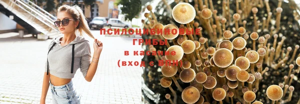 герыч Верея