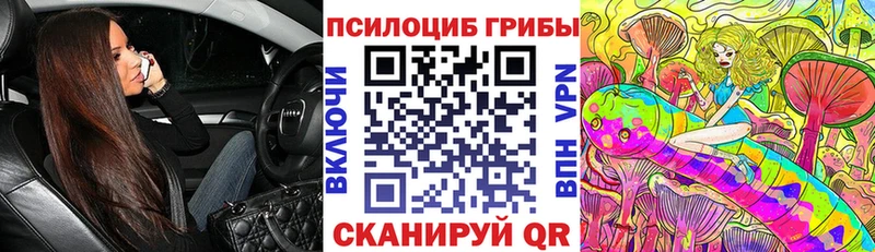 Галлюциногенные грибы Psilocybe  Купить закладки  Рыльск 